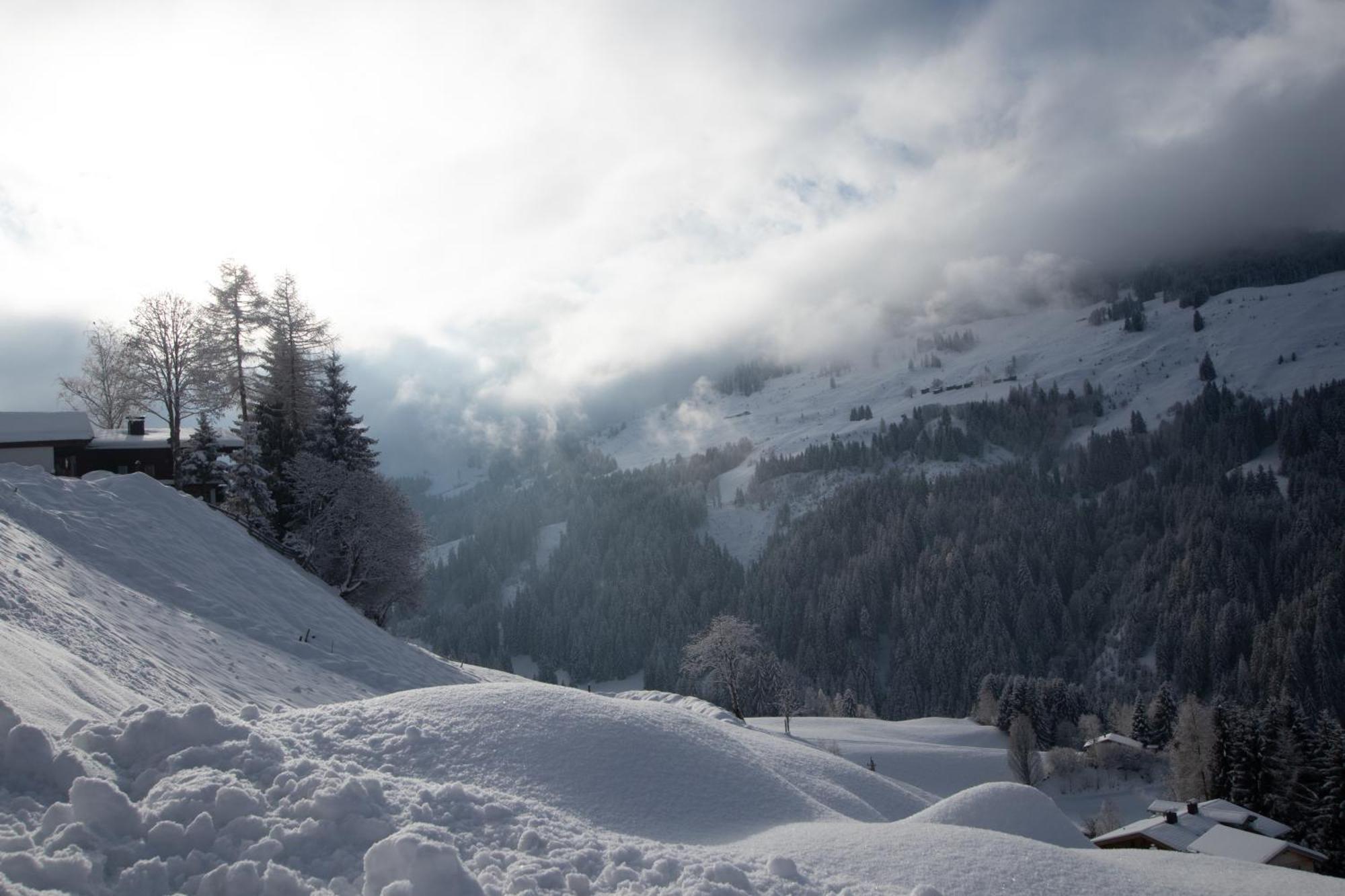 Ferienwohnung Bergpanorama Wild600 Schwarzenau  المظهر الخارجي الصورة